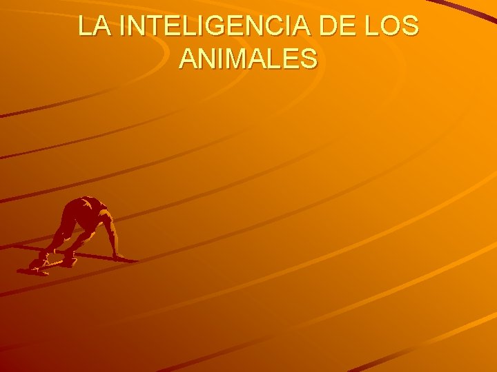 LA INTELIGENCIA DE LOS ANIMALES 