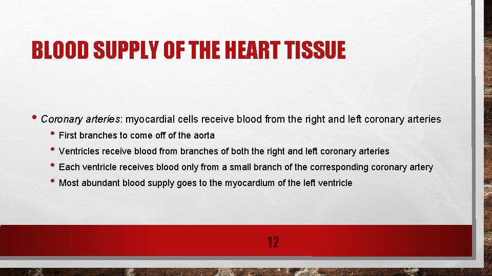 BLOOD SUPPLY OF THE HEART TISSUE • Coronary arteries: myocardial cells receive blood from