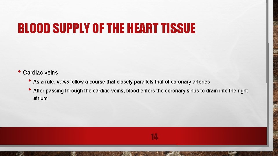 BLOOD SUPPLY OF THE HEART TISSUE • Cardiac veins • As a rule, veins