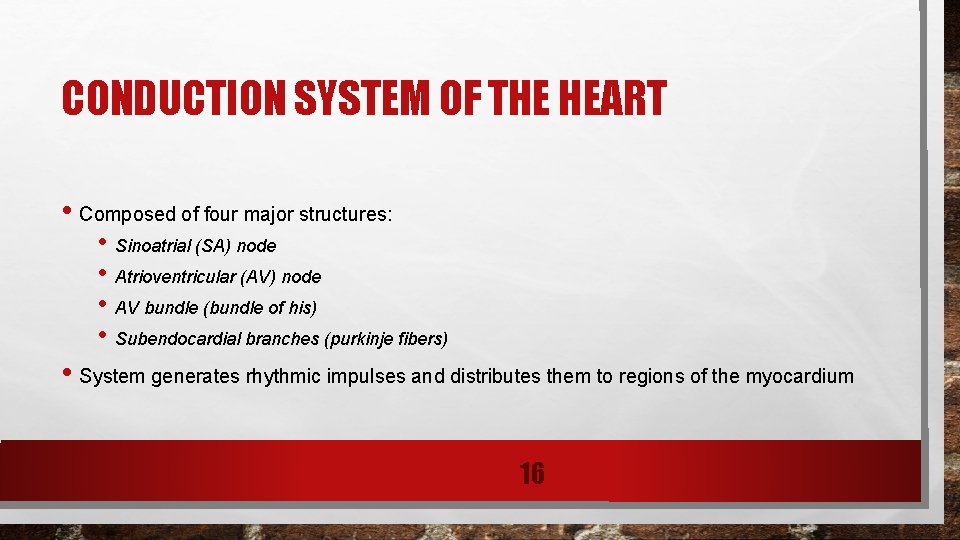 CONDUCTION SYSTEM OF THE HEART • Composed of four major structures: • Sinoatrial (SA)