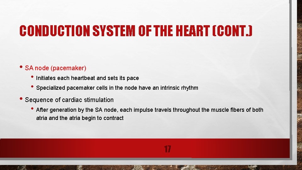 CONDUCTION SYSTEM OF THE HEART (CONT. ) • SA node (pacemaker) • Initiates each