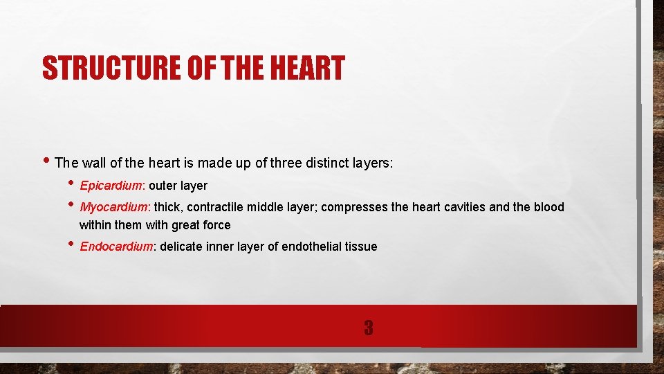 STRUCTURE OF THE HEART • The wall of the heart is made up of