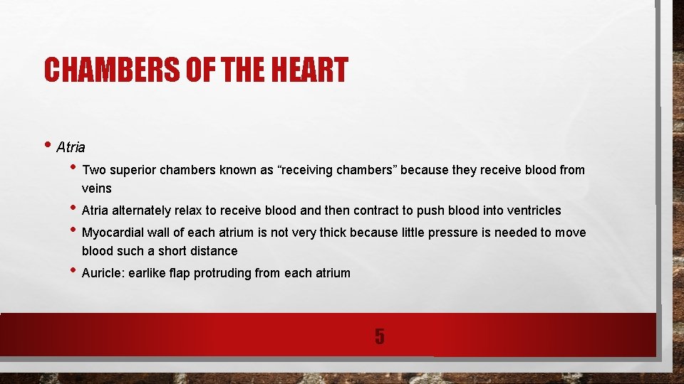 CHAMBERS OF THE HEART • Atria • Two superior chambers known as “receiving chambers”