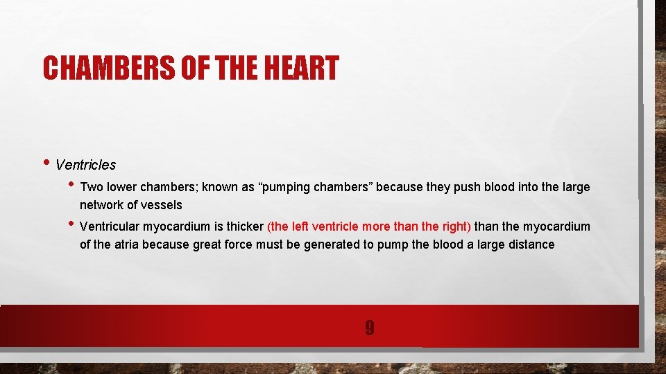 CHAMBERS OF THE HEART • Ventricles • Two lower chambers; known as “pumping chambers”