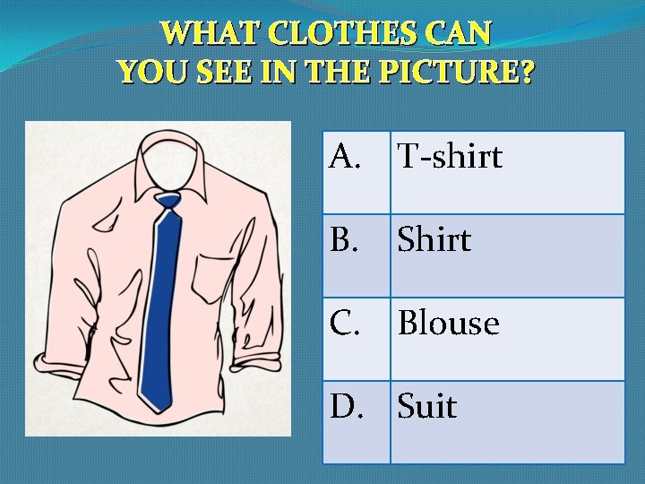 WHAT CLOTHES CAN YOU SEE IN THE PICTURE? A. T-shirt B. Shirt C. Blouse