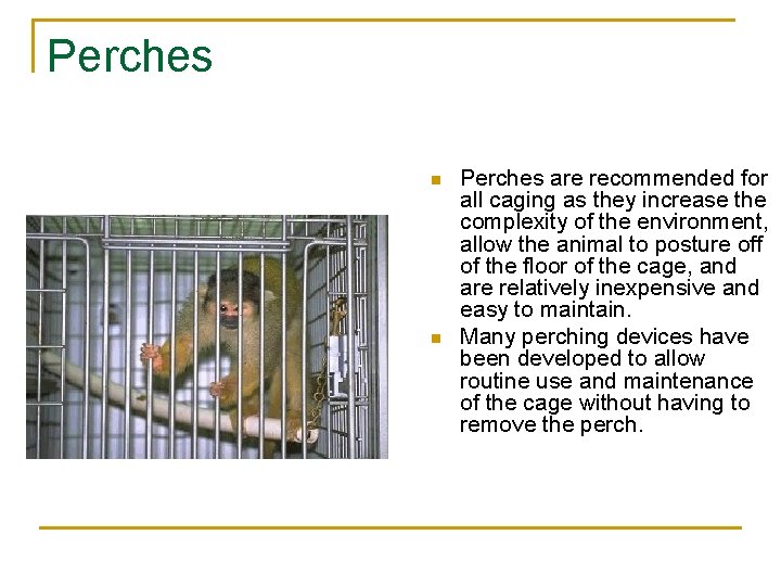 Perches n n Perches are recommended for all caging as they increase the complexity