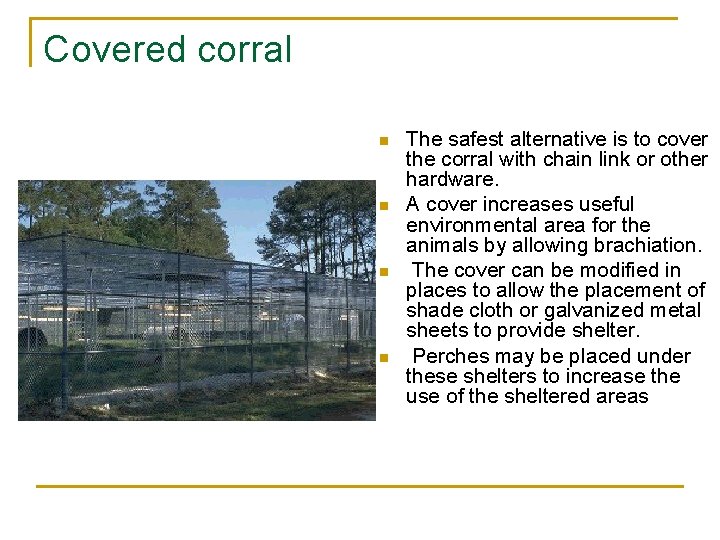 Covered corral n n The safest alternative is to cover the corral with chain