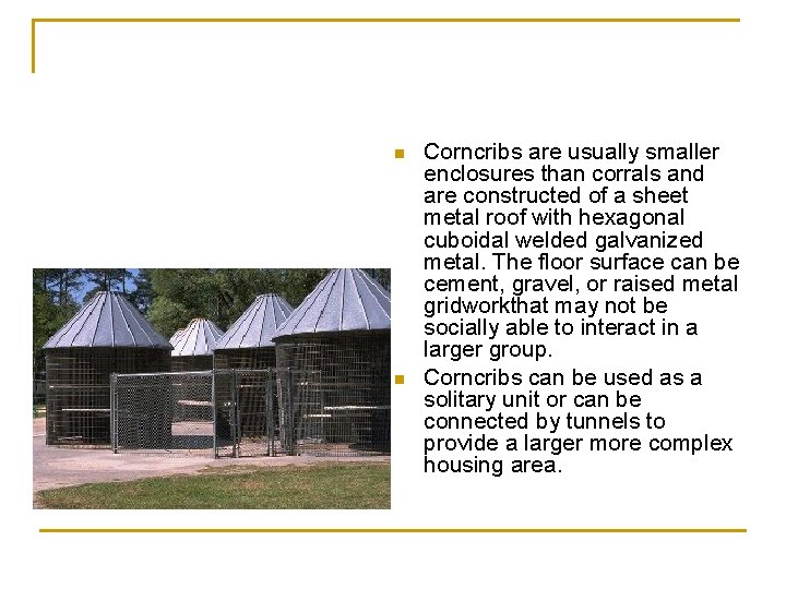 n n Corncribs are usually smaller enclosures than corrals and are constructed of a