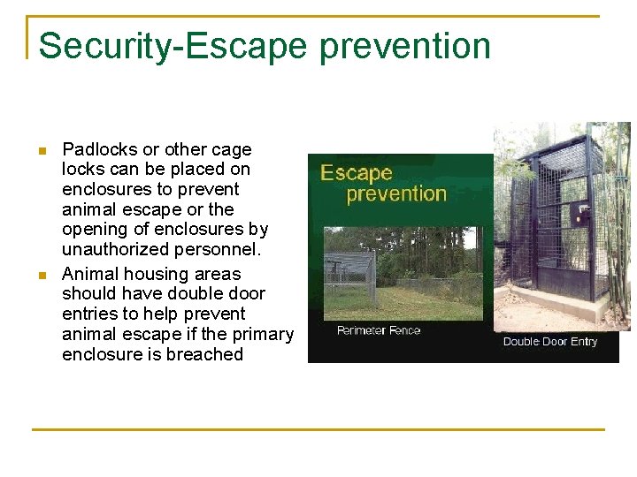 Security-Escape prevention n n Padlocks or other cage locks can be placed on enclosures