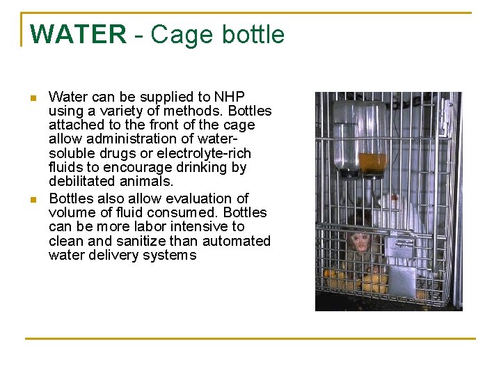 WATER - Cage bottle n n Water can be supplied to NHP using a