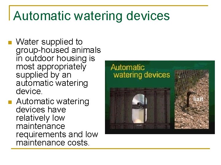 Automatic watering devices n n Water supplied to group-housed animals in outdoor housing is