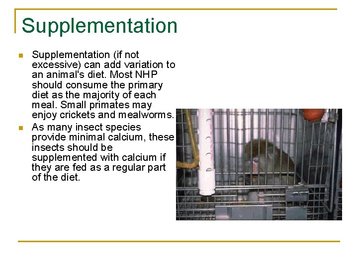 Supplementation n n Supplementation (if not excessive) can add variation to an animal's diet.