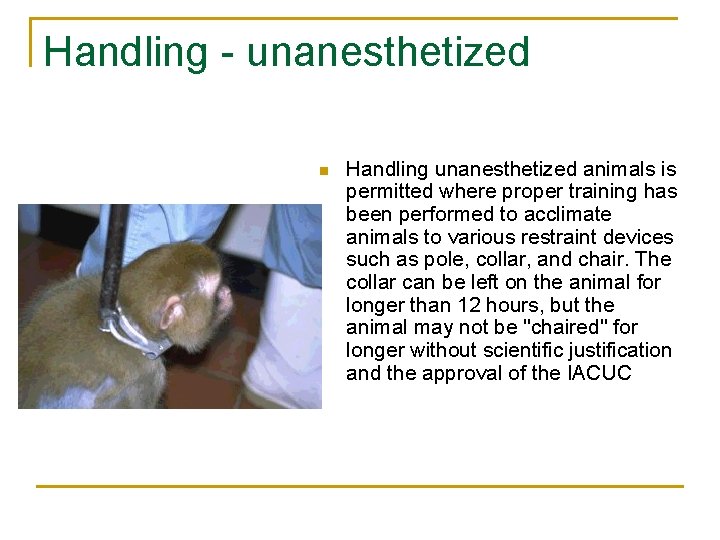 Handling - unanesthetized n Handling unanesthetized animals is permitted where proper training has been