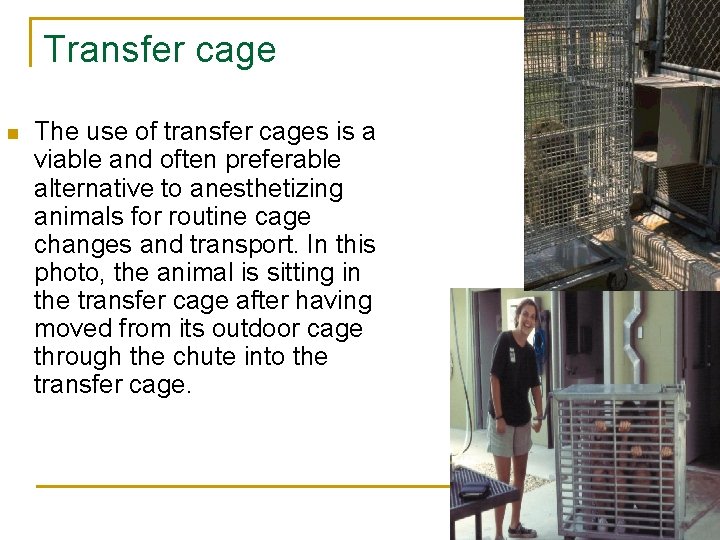 Transfer cage n The use of transfer cages is a viable and often preferable