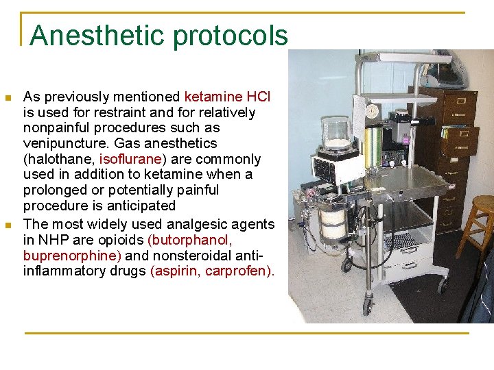 Anesthetic protocols n n As previously mentioned ketamine HCl is used for restraint and