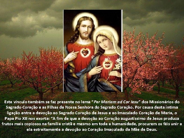 Este vínculo também se faz presente no lema “Per Mariam ad Cor Iesu” dos