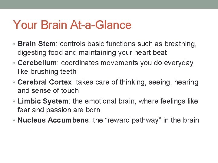 Your Brain At-a-Glance • Brain Stem: controls basic functions such as breathing, digesting food