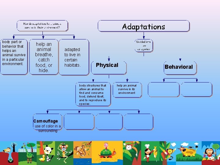 Animal Adaptations Ecology Essential Questions How do changes