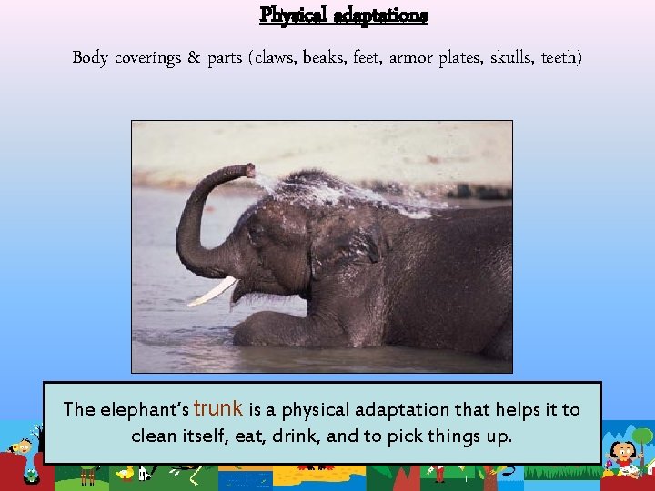 Physical adaptations Body coverings & parts (claws, beaks, feet, armor plates, skulls, teeth) The