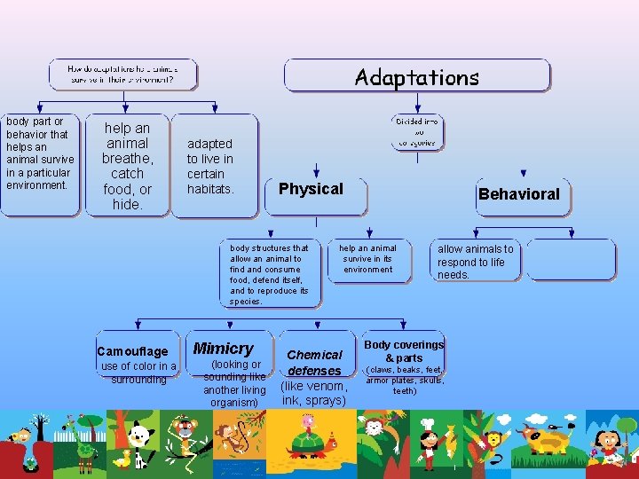 body part or behavior that helps an animal survive in a particular environment. help