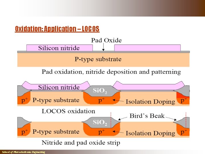Oxidation: Application – LOCOS School of Microelectronic Engineering Oxidation: Application – LOCOS School of Microelectronic Engineering
