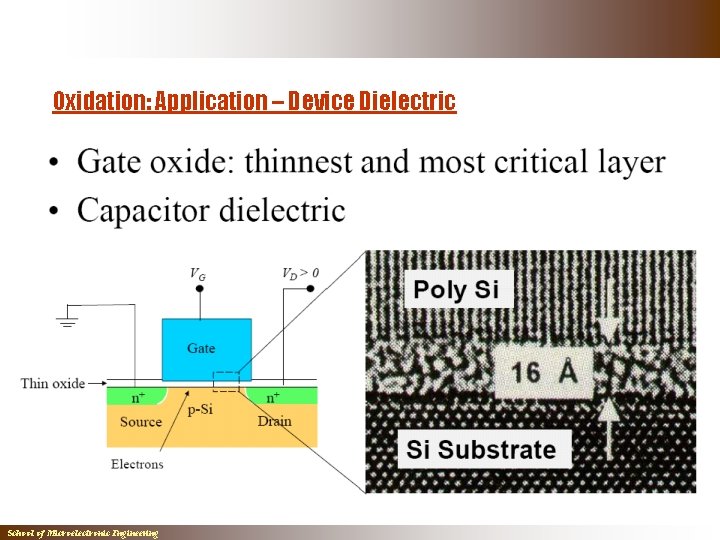 Oxidation: Application – Device Dielectric School of Microelectronic Engineering Oxidation: Application – Device Dielectric School of Microelectronic Engineering