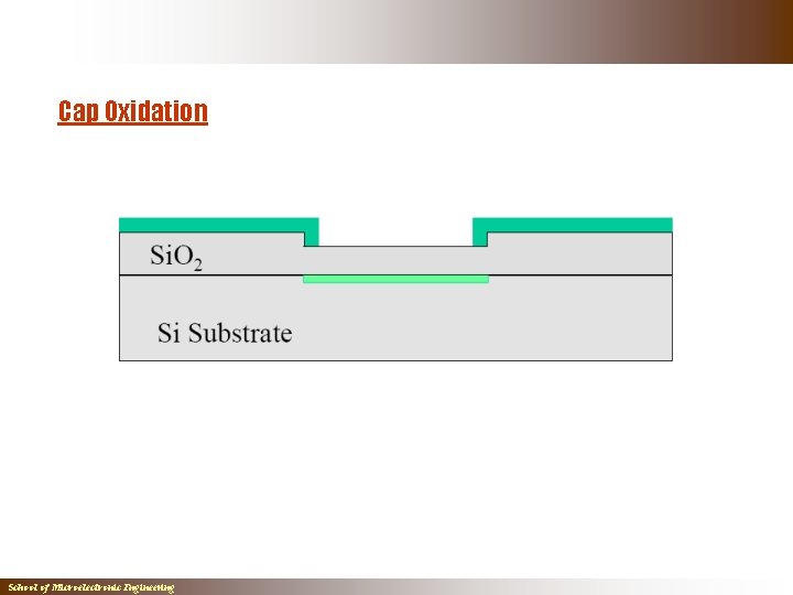 Cap Oxidation School of Microelectronic Engineering Cap Oxidation School of Microelectronic Engineering