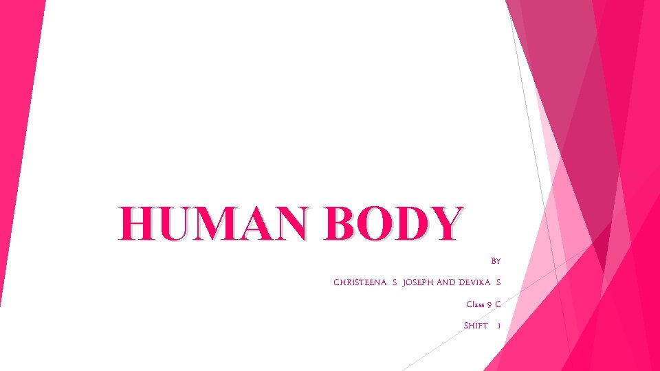HUMAN BODY BY CHRISTEENA S JOSEPH AND DEVIKA S Class 9 C SHIFT 1