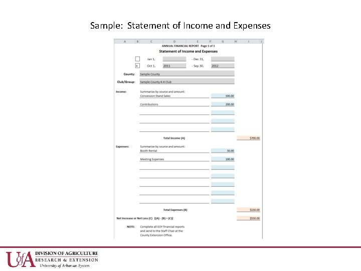 Sample: Statement of Income and Expenses 