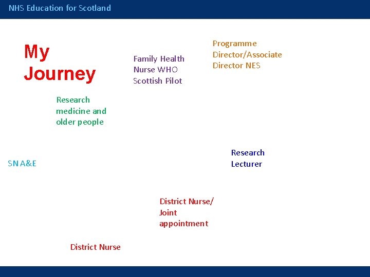 NHS Education for Scotland My Journey Family Health Nurse WHO Scottish Pilot Programme Director/Associate