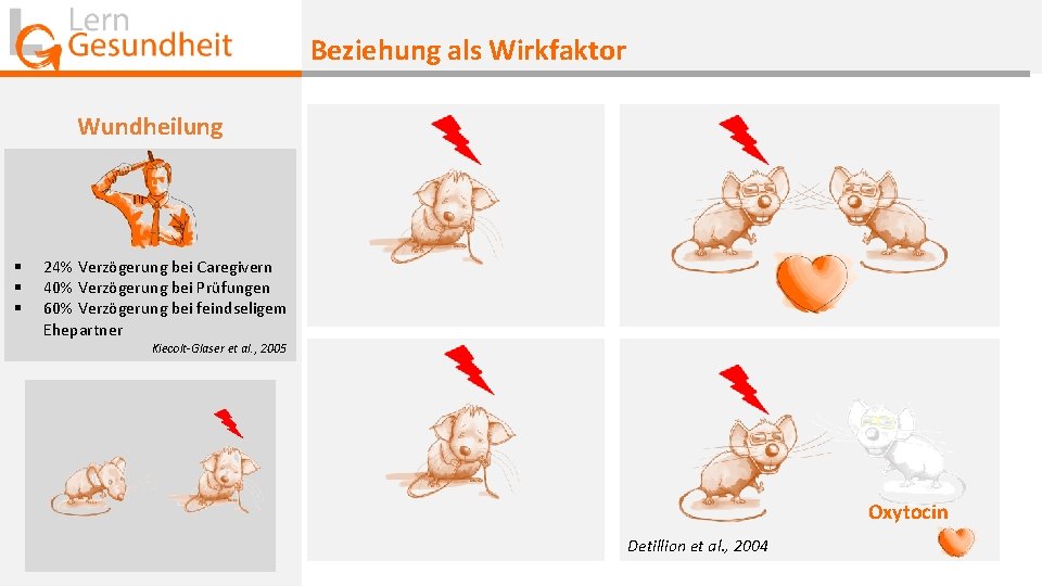 Beziehung als Wirkfaktor Wundheilung § § § 24% Verzögerung bei Caregivern 40% Verzögerung bei Beziehung als Wirkfaktor Wundheilung § § § 24% Verzögerung bei Caregivern 40% Verzögerung bei