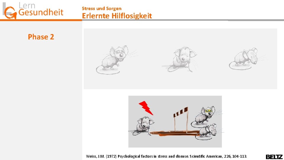 Stress und Sorgen Erlernte Hilflosigkeit Phase 2 Weiss, J. M. (1972) Psychological factors in Stress und Sorgen Erlernte Hilflosigkeit Phase 2 Weiss, J. M. (1972) Psychological factors in