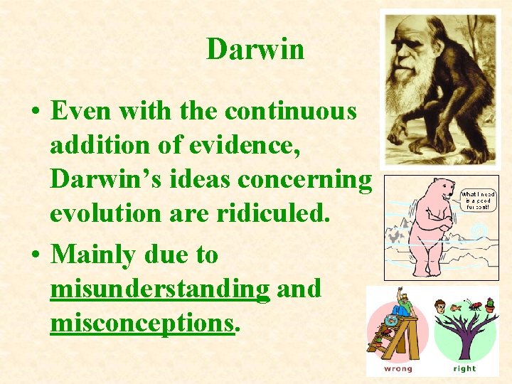 Darwin • Even with the continuous addition of evidence, Darwin’s ideas concerning evolution are