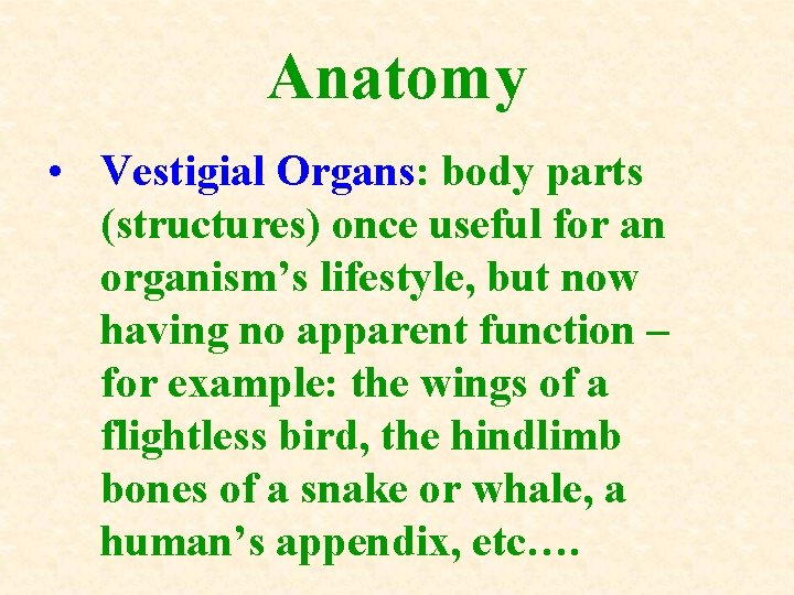 Anatomy • Vestigial Organs: body parts (structures) once useful for an organism’s lifestyle, but