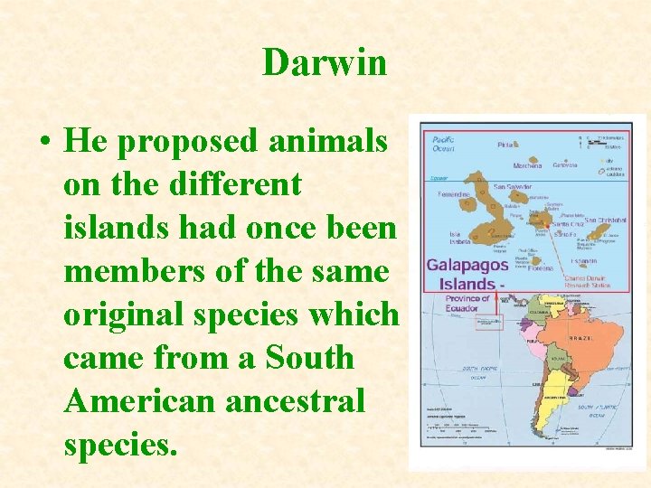 Darwin • He proposed animals on the different islands had once been members of