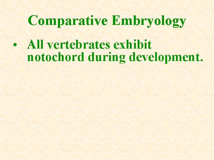 Comparative Embryology • All vertebrates exhibit notochord during development. 