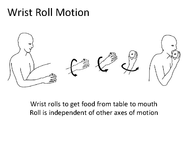 Wrist Roll Motion Wrist rolls to get food from table to mouth Roll is