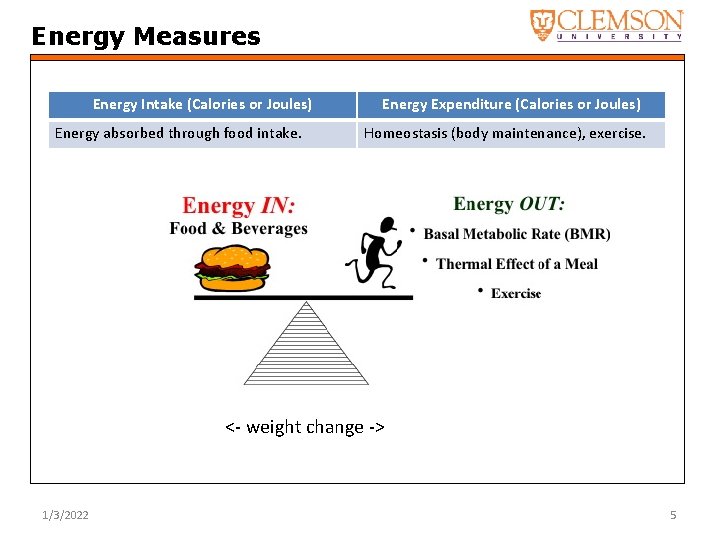 Energy Measures Energy Intake (Calories or Joules) Energy absorbed through food intake. Energy Expenditure