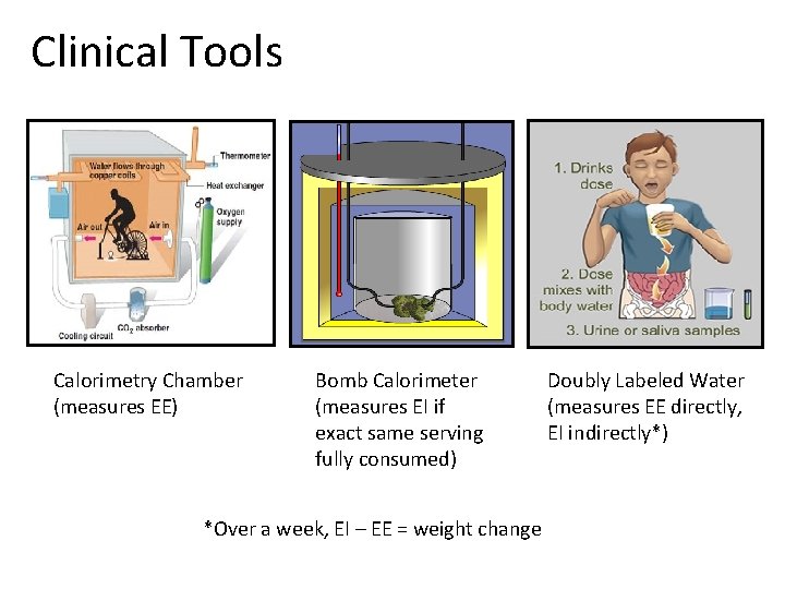 Clinical Tools Calorimetry Chamber (measures EE) Bomb Calorimeter (measures EI if exact same serving