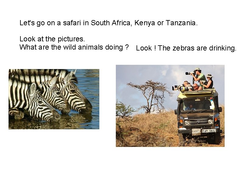 Let's go on a safari in South Africa, Kenya or Tanzania. Look at the