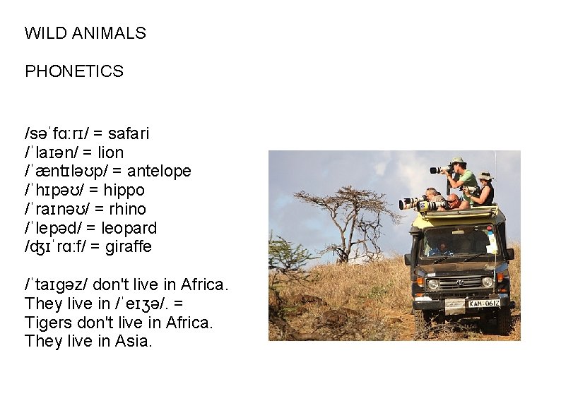 WILD ANIMALS PHONETICS /səˈfɑ: rɪ/ = safari /ˈlaɪən/ = lion /ˈæntɪləʊp/ = antelope /ˈhɪpəʊ/