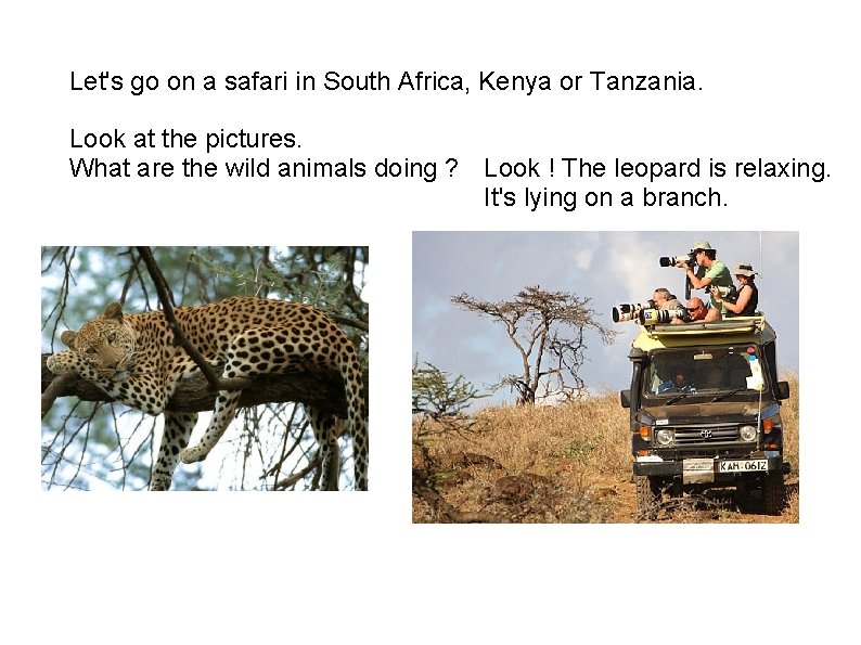 Let's go on a safari in South Africa, Kenya or Tanzania. Look at the