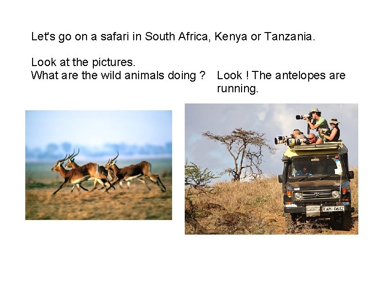 Let's go on a safari in South Africa, Kenya or Tanzania. Look at the