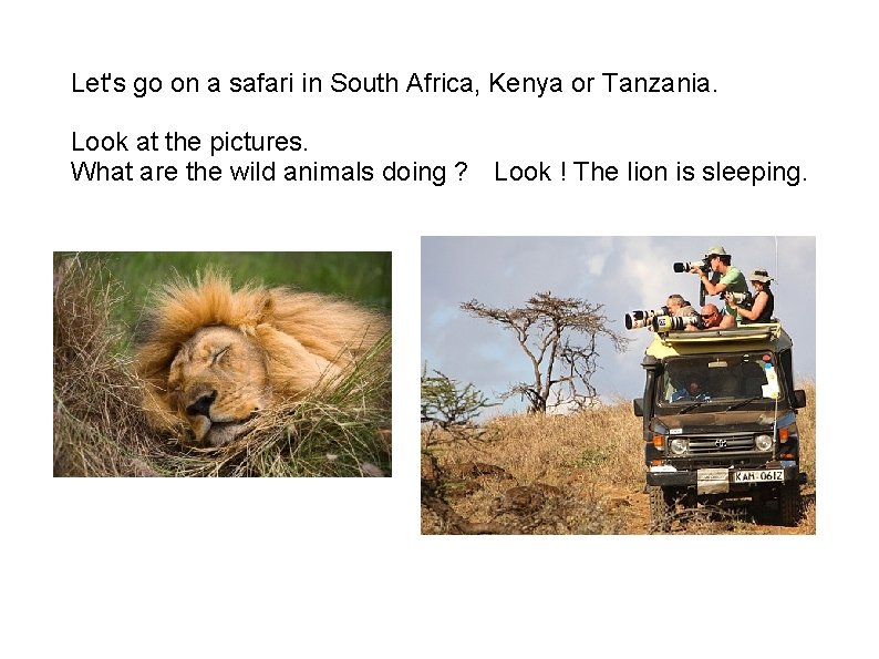 Let's go on a safari in South Africa, Kenya or Tanzania. Look at the