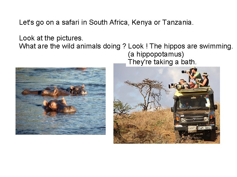 Let's go on a safari in South Africa, Kenya or Tanzania. Look at the