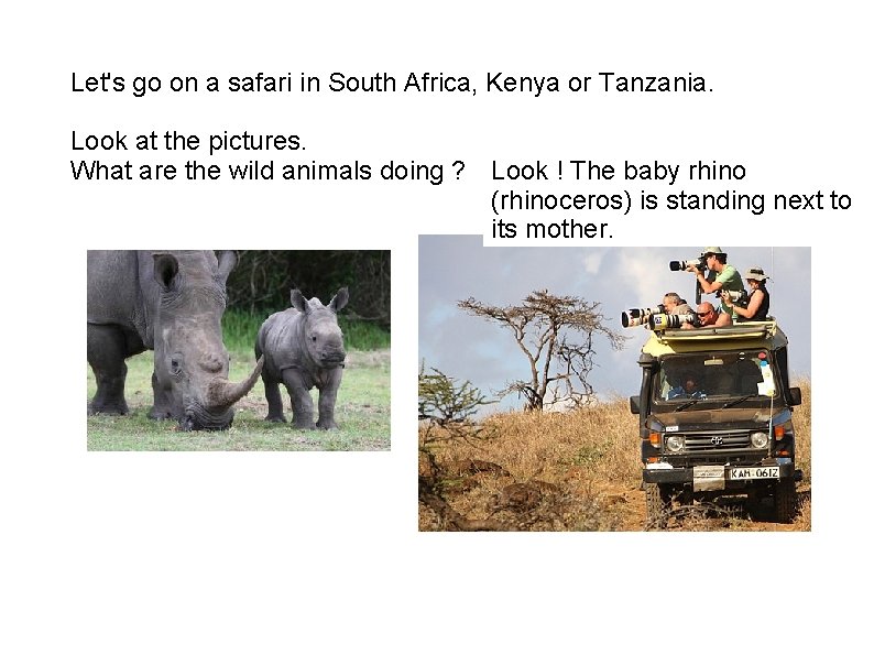 Let's go on a safari in South Africa, Kenya or Tanzania. Look at the