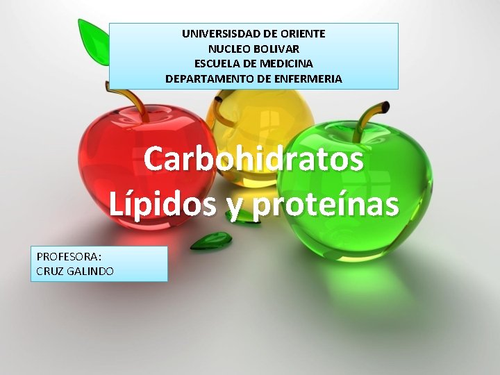UNIVERSISDAD DE ORIENTE NUCLEO BOLIVAR ESCUELA DE MEDICINA DEPARTAMENTO DE ENFERMERIA Carbohidratos Lípidos y