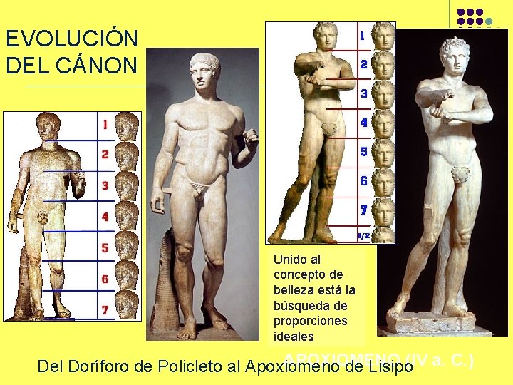 EVOLUCIÓN DEL CÁNON Unido al concepto de belleza está la búsqueda de proporciones LISIPO: