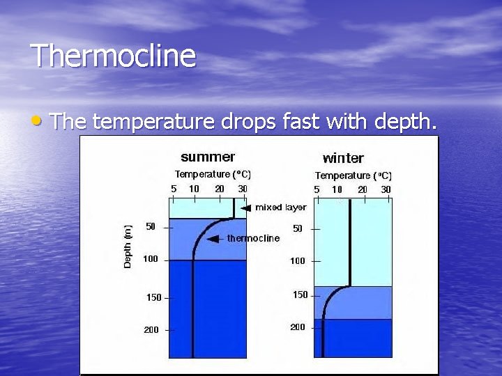 Thermocline • The temperature drops fast with depth. 
