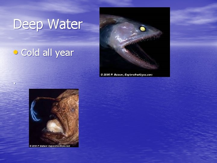 Deep Water • Cold all year. 